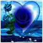 0011 ROSE