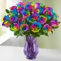 0015 Roses