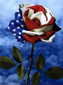 0070 Flag Rose