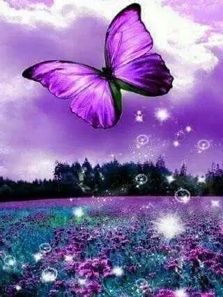 0071 Butterfly