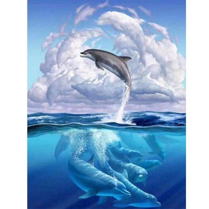 0159 Dolphin