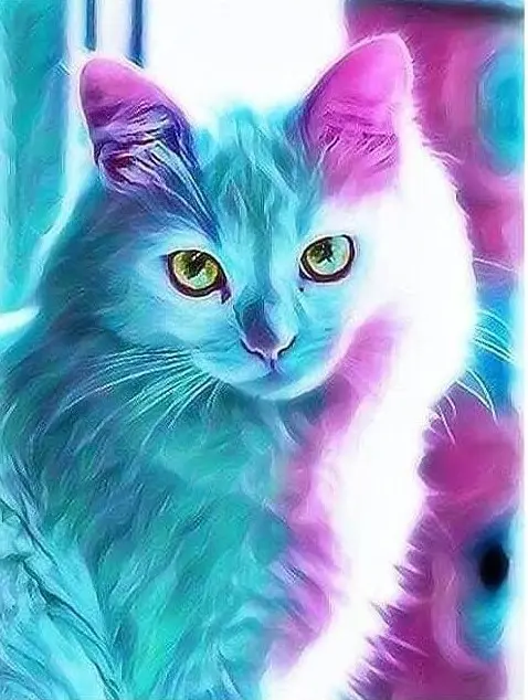 3875 Cat