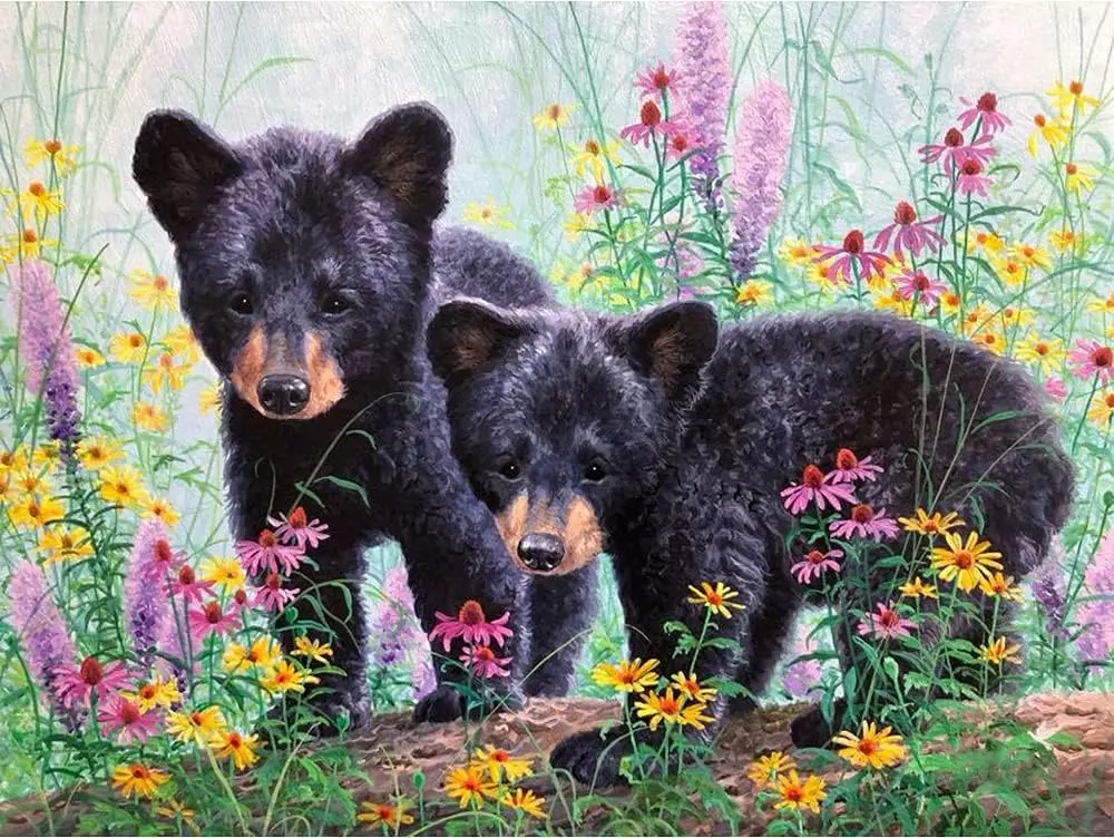 3936 Bears