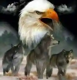 0002 Eagle Wolf