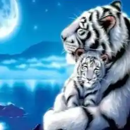 0021 Tiger and Cub