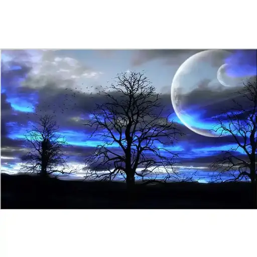 0029 Sky