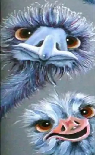 0032 OSTRICH