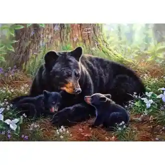 0047 Bears