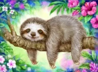 0054 SLOTH