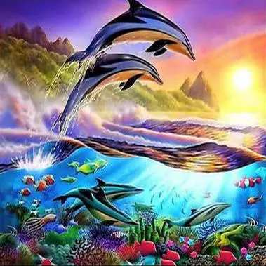 0061 Dolphins