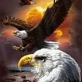 0065 Eagle