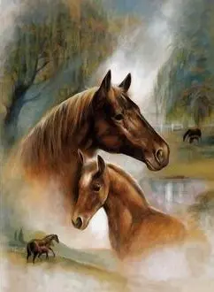 0087 Horses