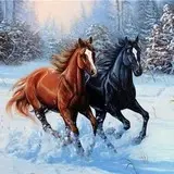 0088 Horses