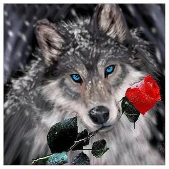 0110 Wolf