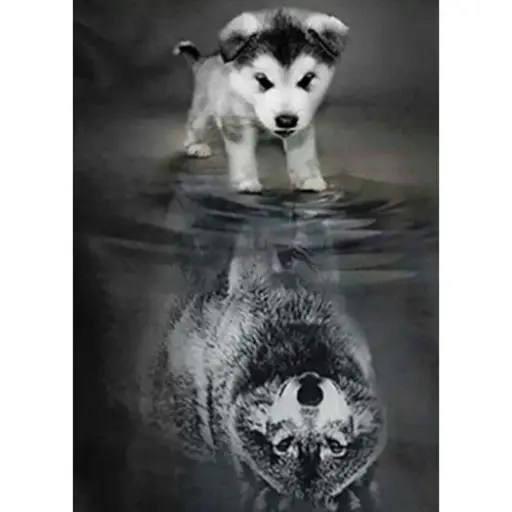 [LY341] 0131 Reflection Dog