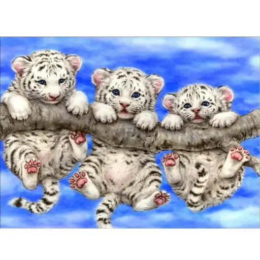 0163 Kittens