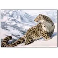 0190 LEOPARD