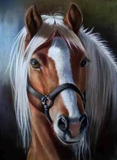 [LY278] 1051 Horse