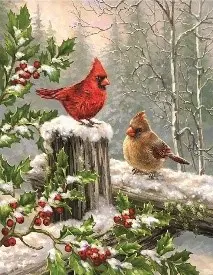 1125 Birds