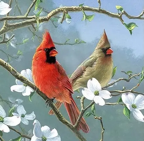 1157 CARDINALS
