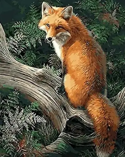 3061 Fox
