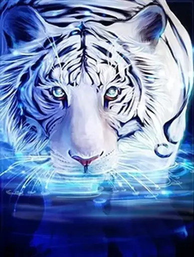 3062 Tiger