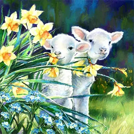 3316 Lambs