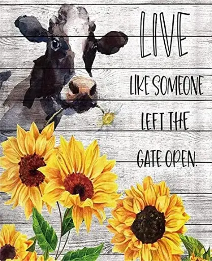 3375 Cow