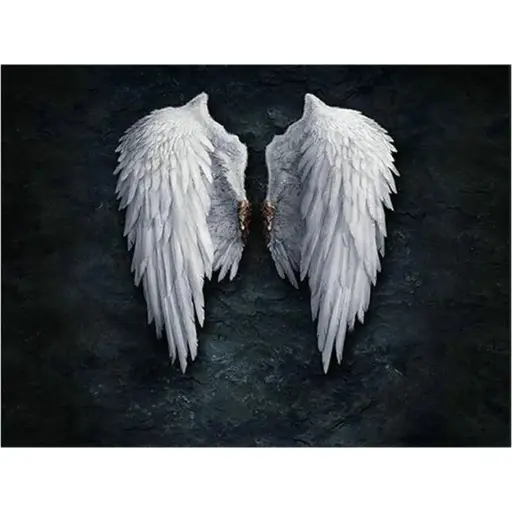 0305 Wings